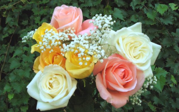 Испанский художник Juan Fortuny картины