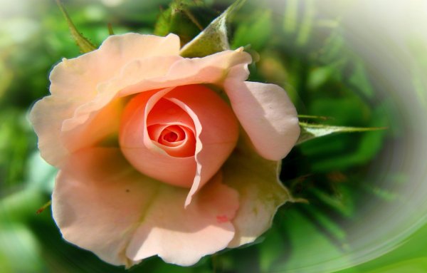 Девушка лето