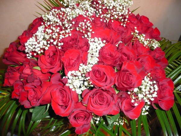 Гулар манзараси