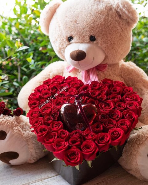 Красивые белые розы