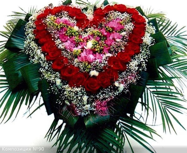 Красивые розы для любимой