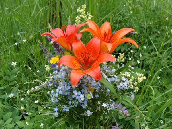 Сардаана күнэ