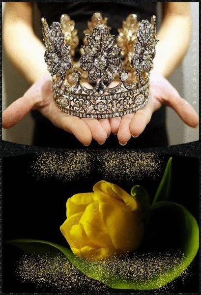 Цветы для королевы