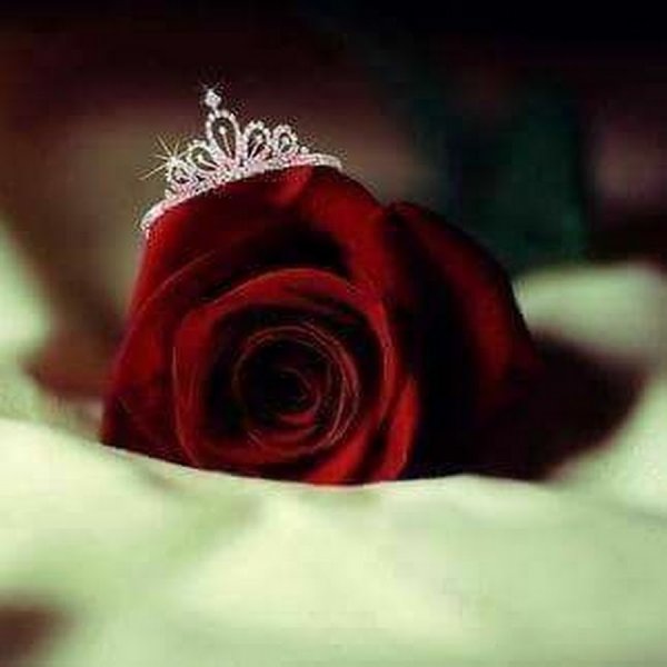 Мусульманка с короной из розы