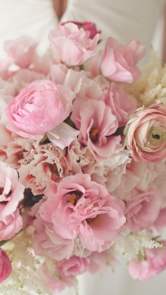 Нежные весенние цветочки