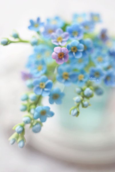 Нежные пастельные цветы