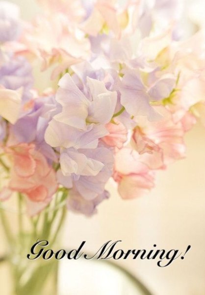 Нежность природа