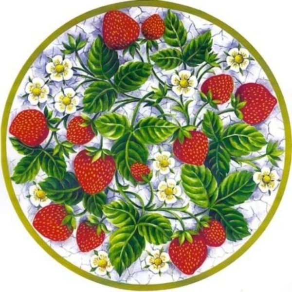 Ягоды в круге