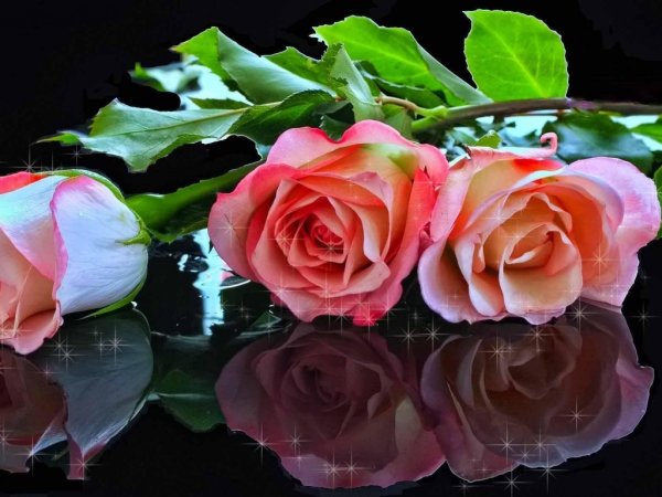 Прекрасные цветы для тебя