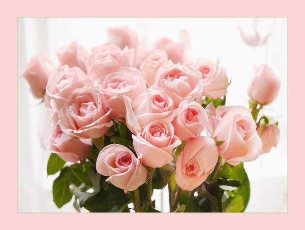 С днём рождения Ольга