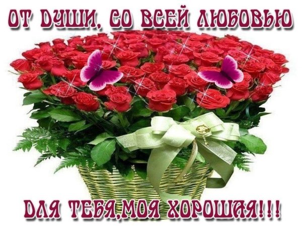 Красивые цветы для подруги