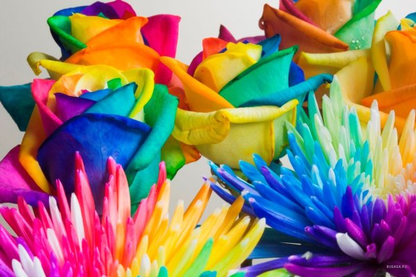 Радужные предметы