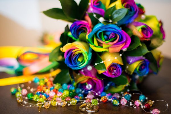 Радужный цветок