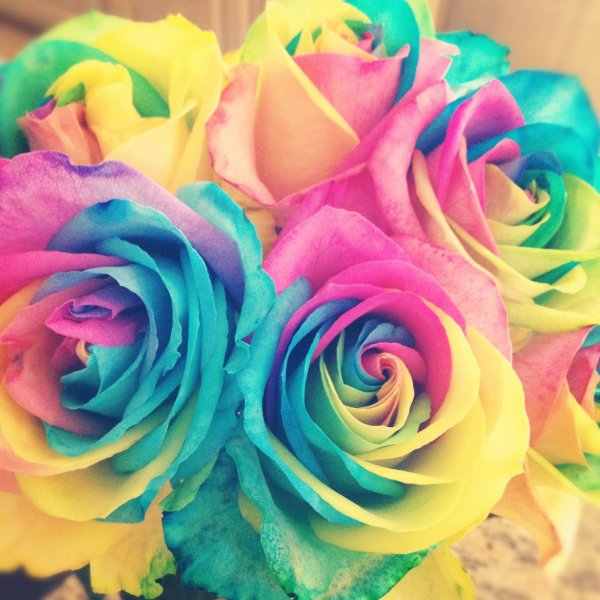 Радужные цветы