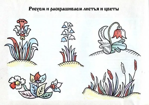 Лубок цветы