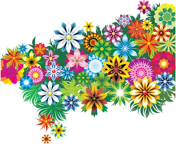 Цветы на прозрачном фоне