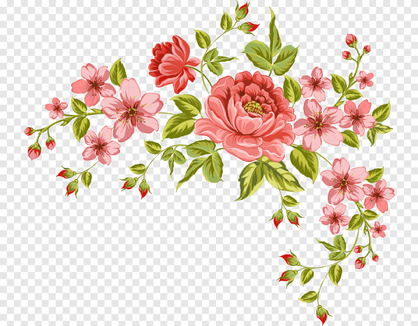 Цветы вектор