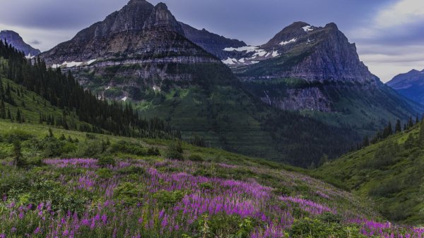 Горы Алтая Альпийские Луга