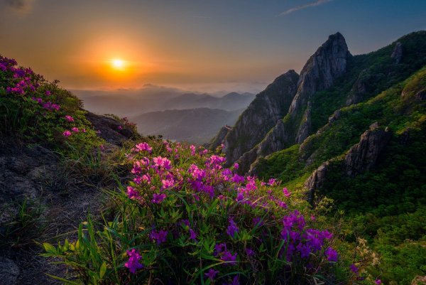 Закат горы цветы