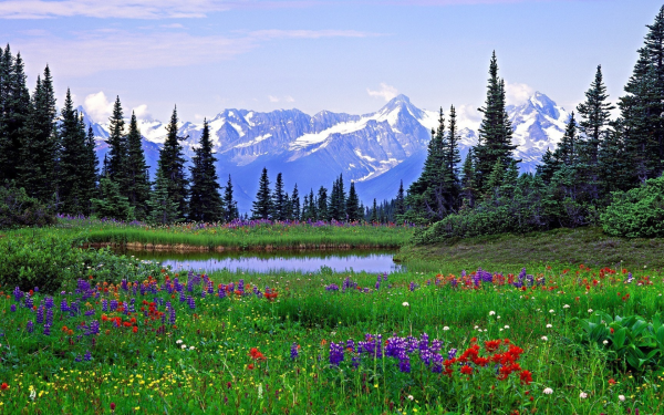 Долина цветов, Уттаракханд, Индия