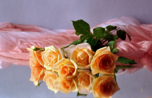 Розы для любимой дочери