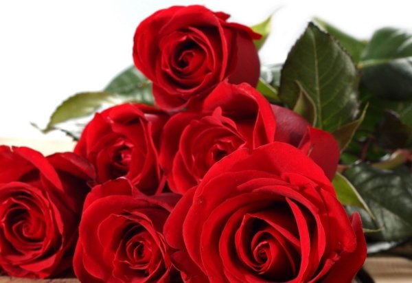 С днём рождения дорери