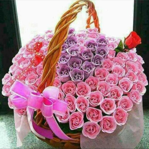 Самые красивые цветы для любимой