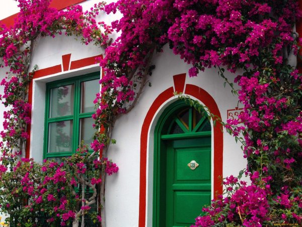 Красивый домик в цветах