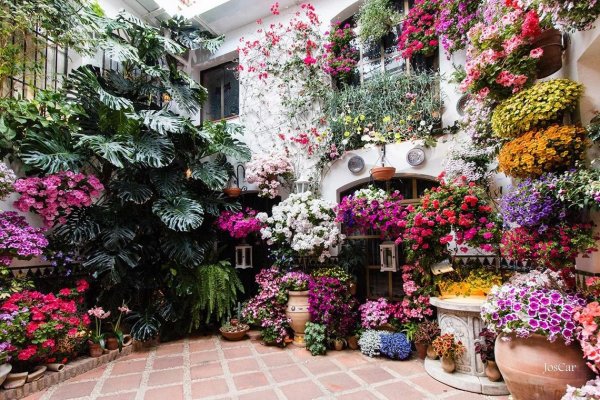 Кордоба фестиваль патио