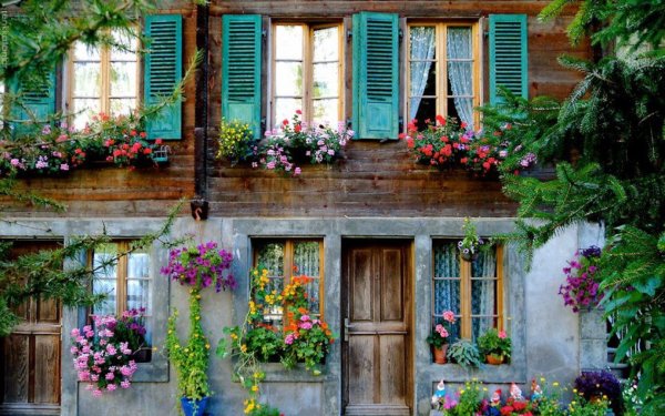 Уютный домик в цветах