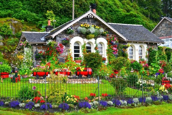 Сказочный домик в цветах