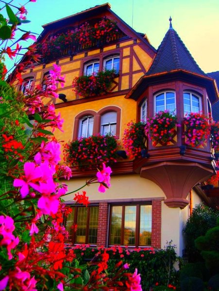 Красивый дом в цветах
