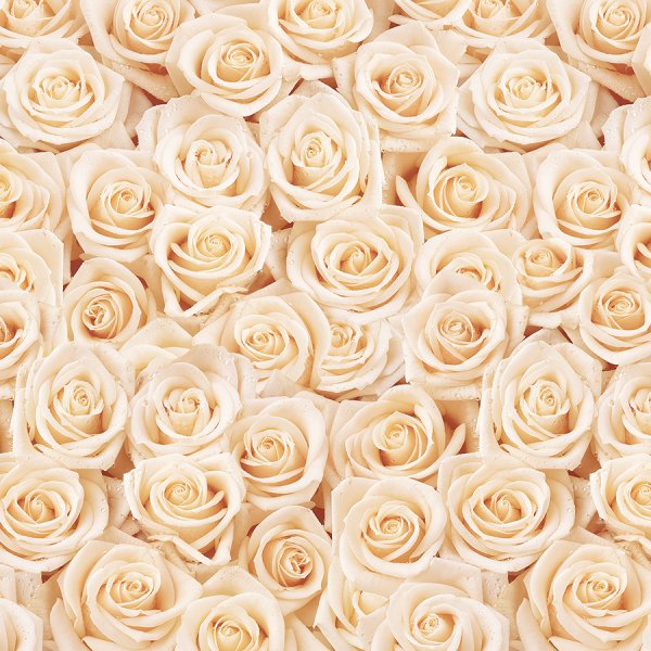 Кремовые обои