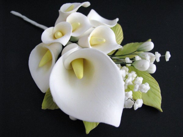 Калла natural Bouquet