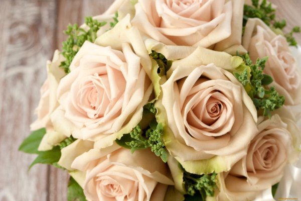 Розы цвета шампань