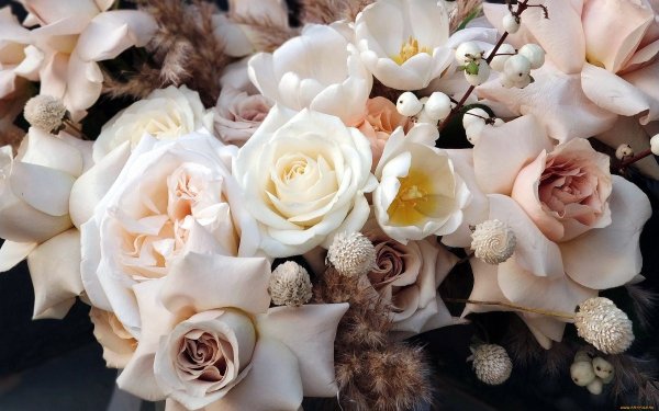 Нежный цветок