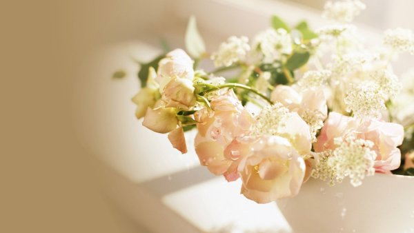 Кремовые розы в вазе