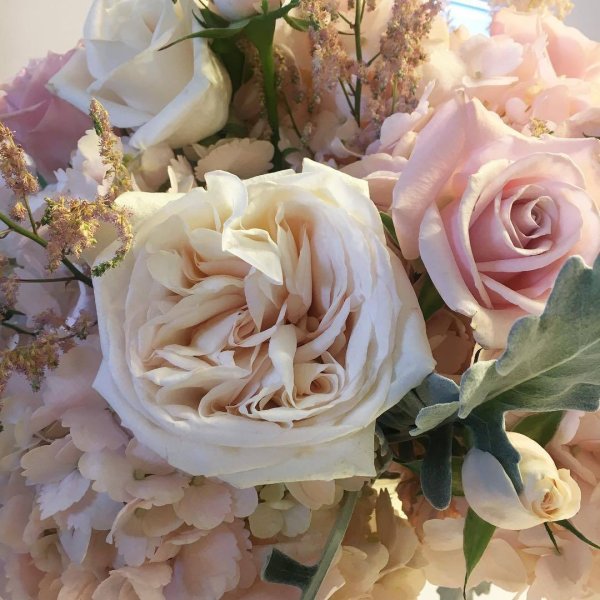 Березакерамика Богема роза