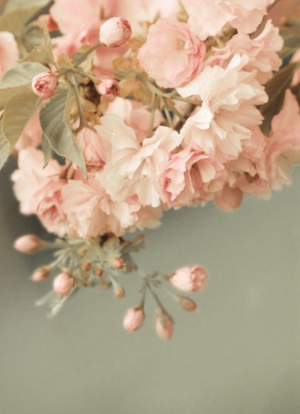 Природа в бежевых тонах