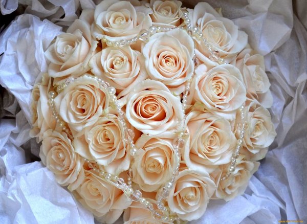 Бежевые цветы