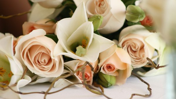 Картинки на рабочий стол нежные тона