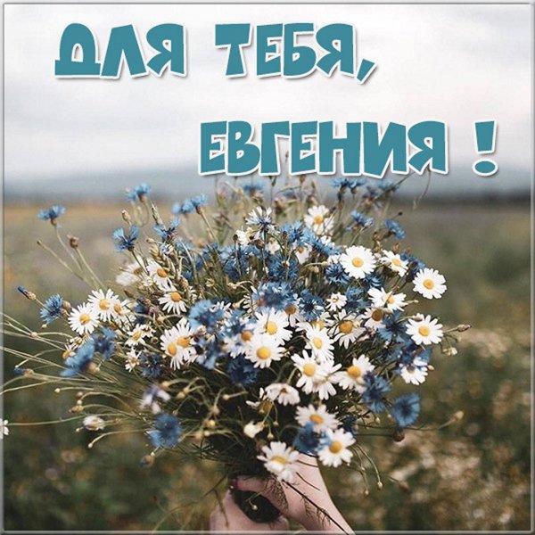 Женечка картинки