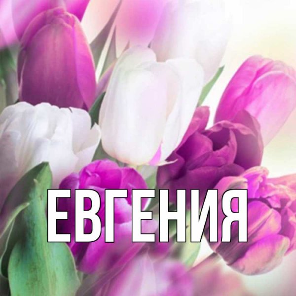 Цветок имени Евгения