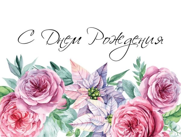 Евгении шикарные цветы