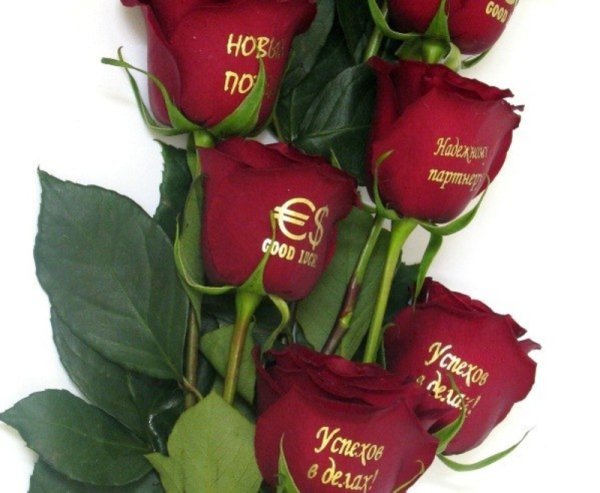 С днём рождения ромашки