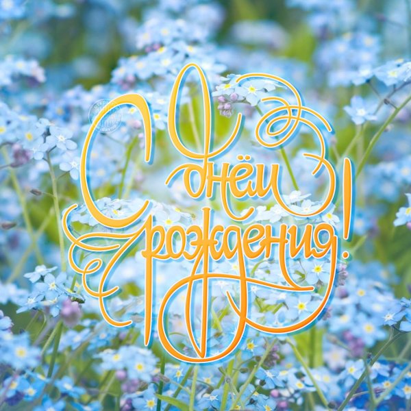 Поздравления с днём рождения девушке