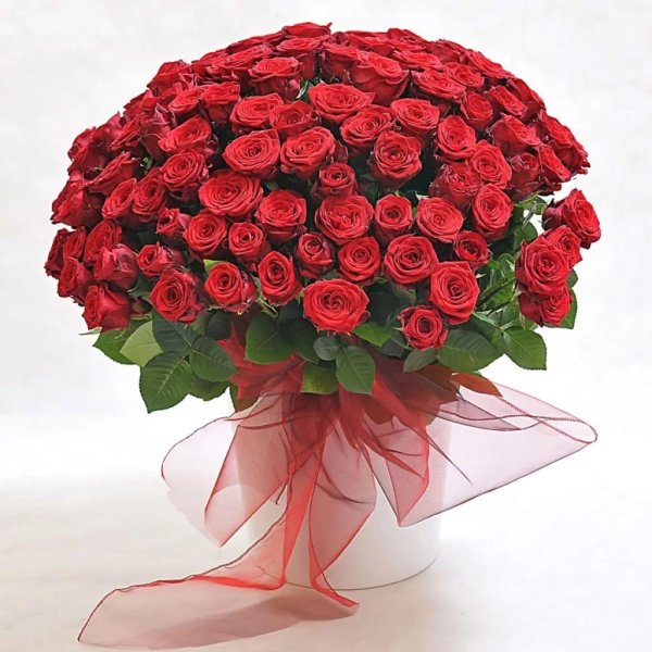 Синие розы фото