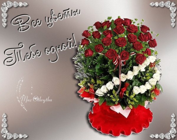 Цветы для любимой женщины