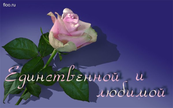 С днём рождения шикарной девушке