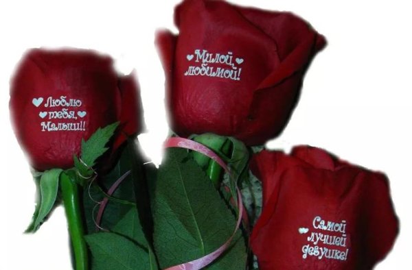 С днем рождения